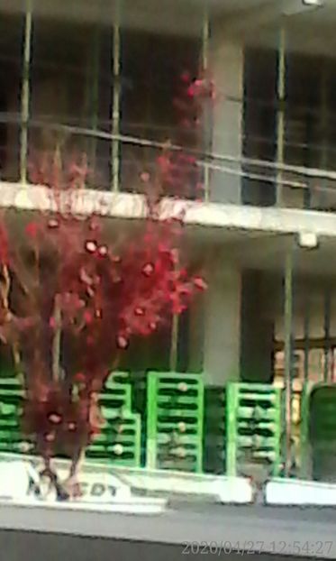  - 2020 Santier pe Str DONAT