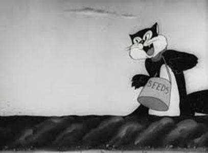 Private Snafu - Private Snafu