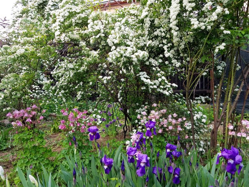  - 2020 Mart-Apr_Idilic garden