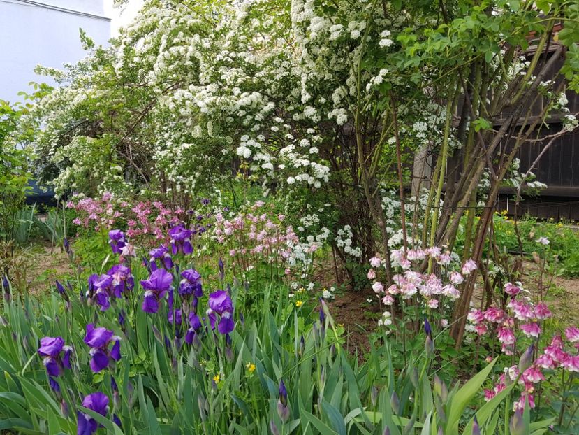  - 2020 Mart-Apr_Idilic garden