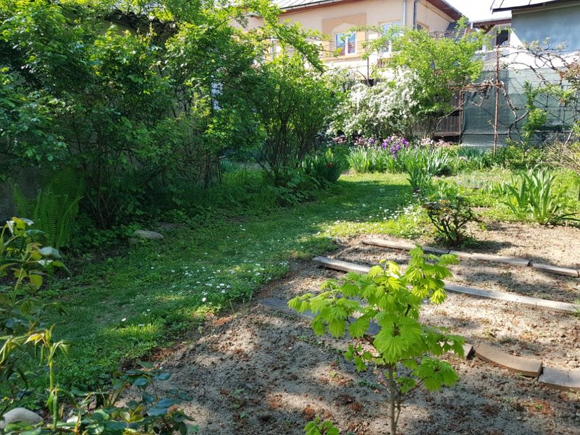  - 2020 Mart-Apr_Idilic garden