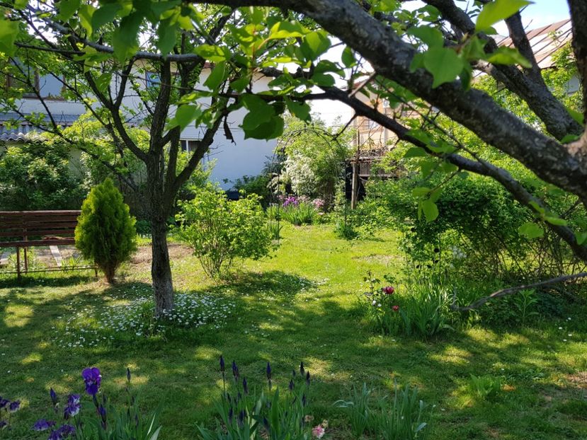  - 2020 Mart-Apr_Idilic garden