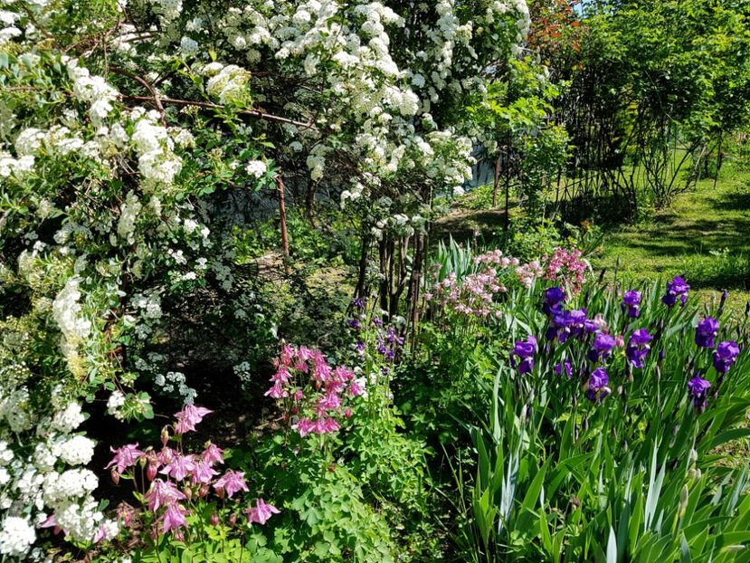  - 2020 Mart-Apr_Idilic garden