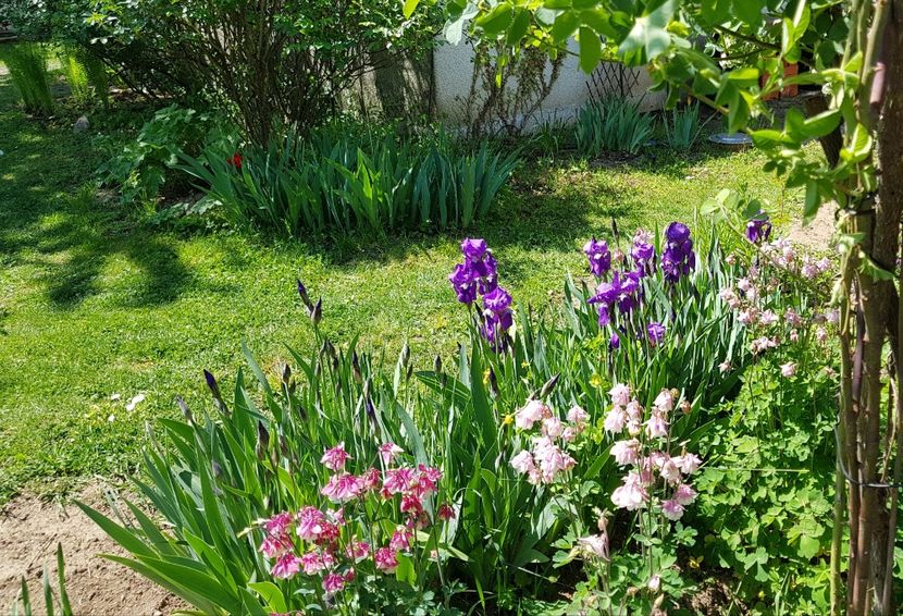  - 2020 Mart-Apr_Idilic garden