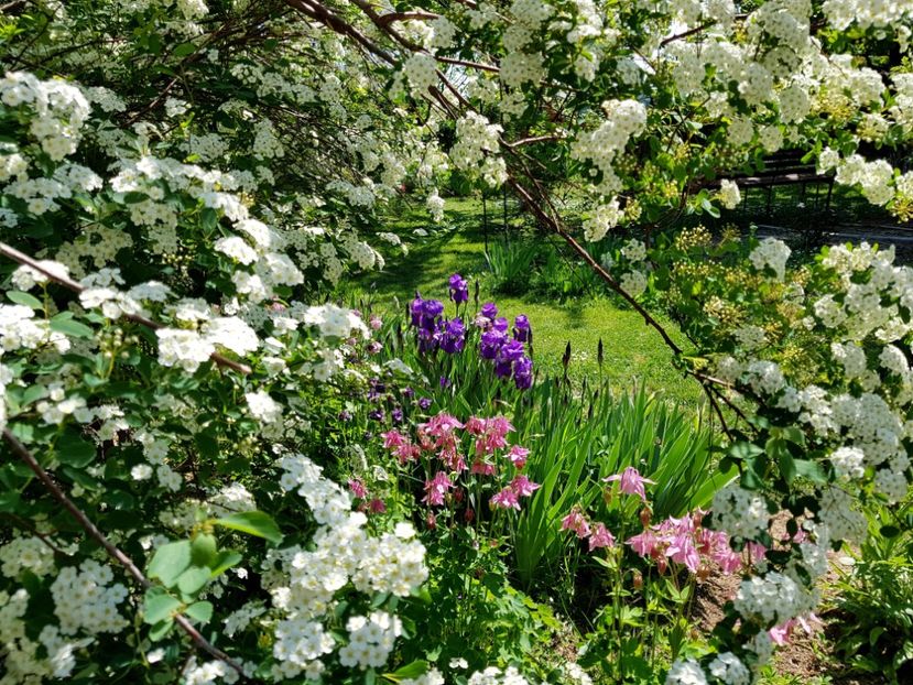  - 2020 Mart-Apr_Idilic garden