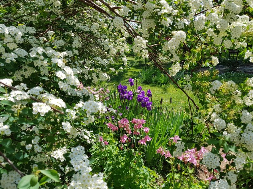  - 2020 Mart-Apr_Idilic garden