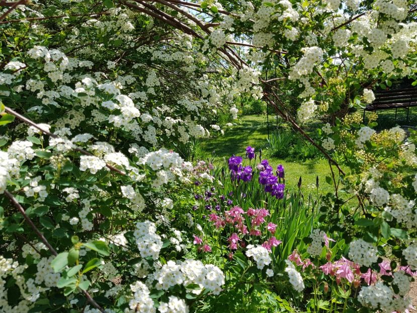  - 2020 Mart-Apr_Idilic garden