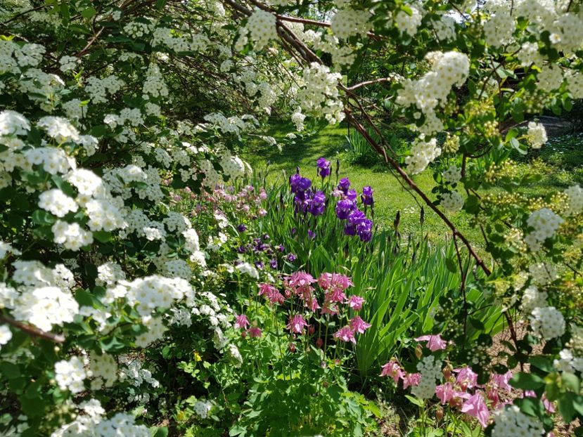  - 2020 Mart-Apr_Idilic garden