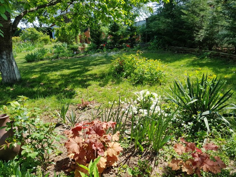  - 2020 Mart-Apr_Idilic garden