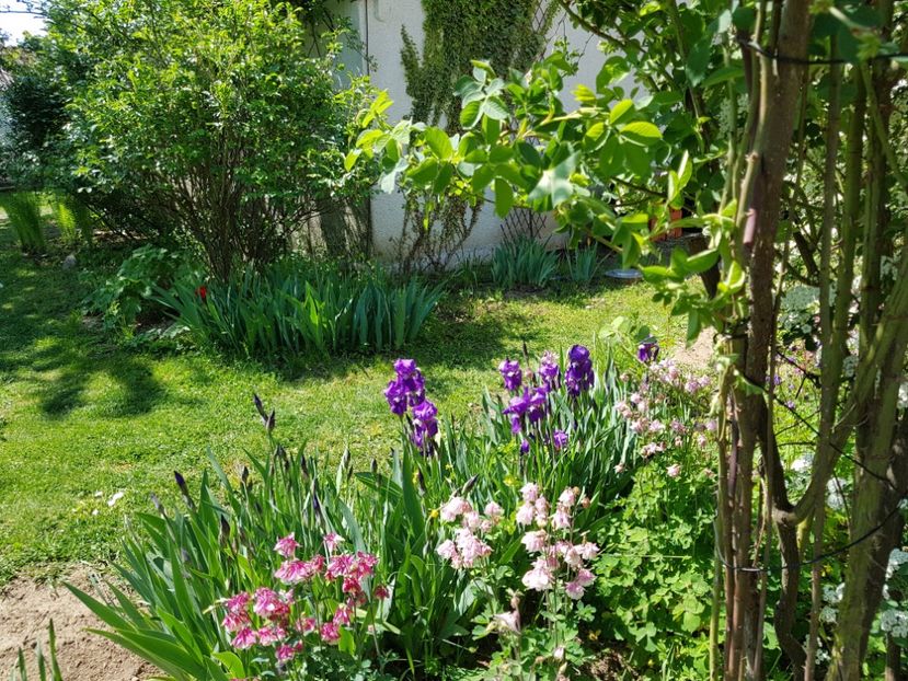  - 2020 Mart-Apr_Idilic garden