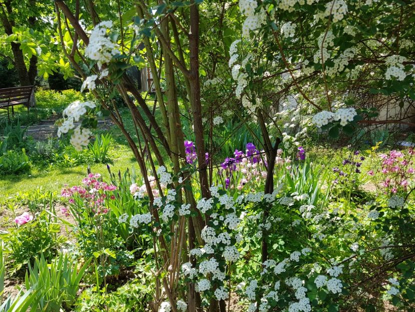  - 2020 Mart-Apr_Idilic garden