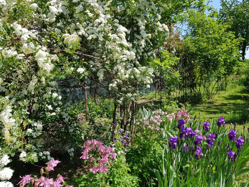  - 2020 Mart-Apr_Idilic garden