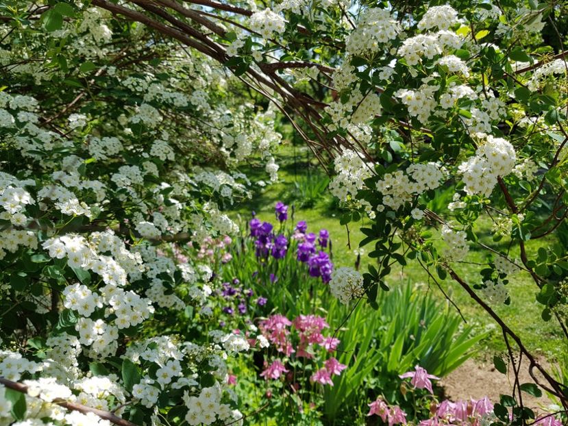  - 2020 Mart-Apr_Idilic garden