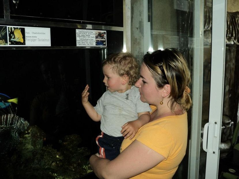  - 2012 JIBOU Grădina botanică