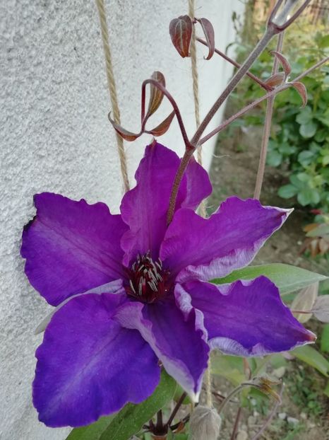 2020-29.04 - 19 The President