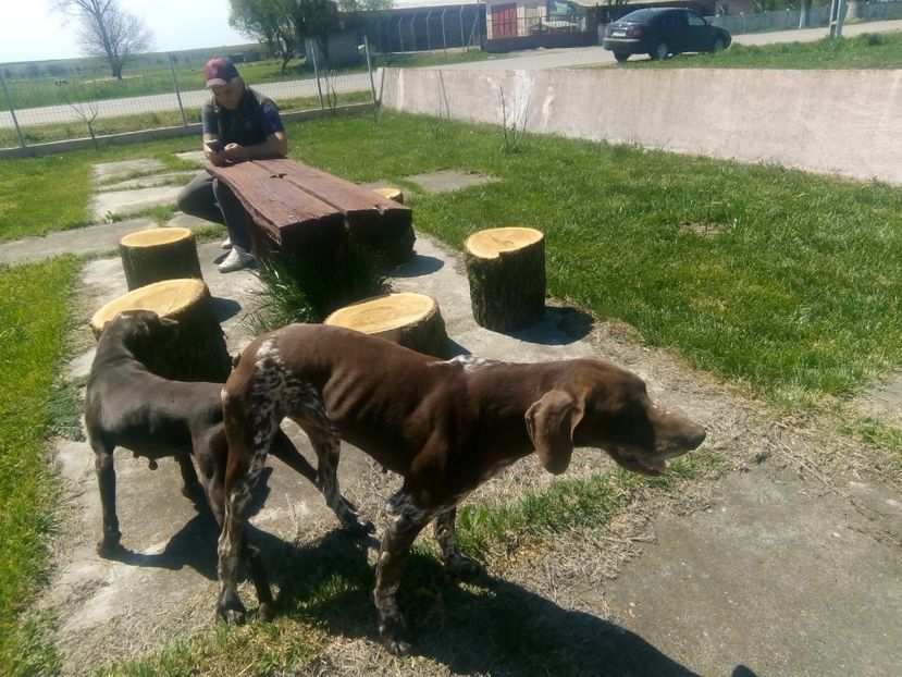 monta brac 26 04 2020 - noutati