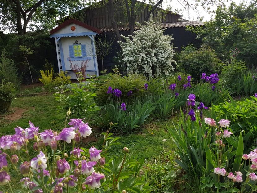  - 2020 Mart-Apr_Idilic garden