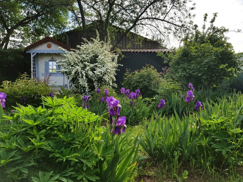  - 2020 Mart-Apr_Idilic garden