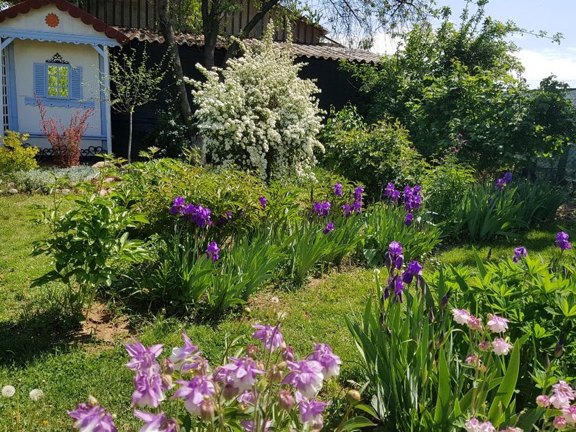  - 2020 Mart-Apr_Idilic garden