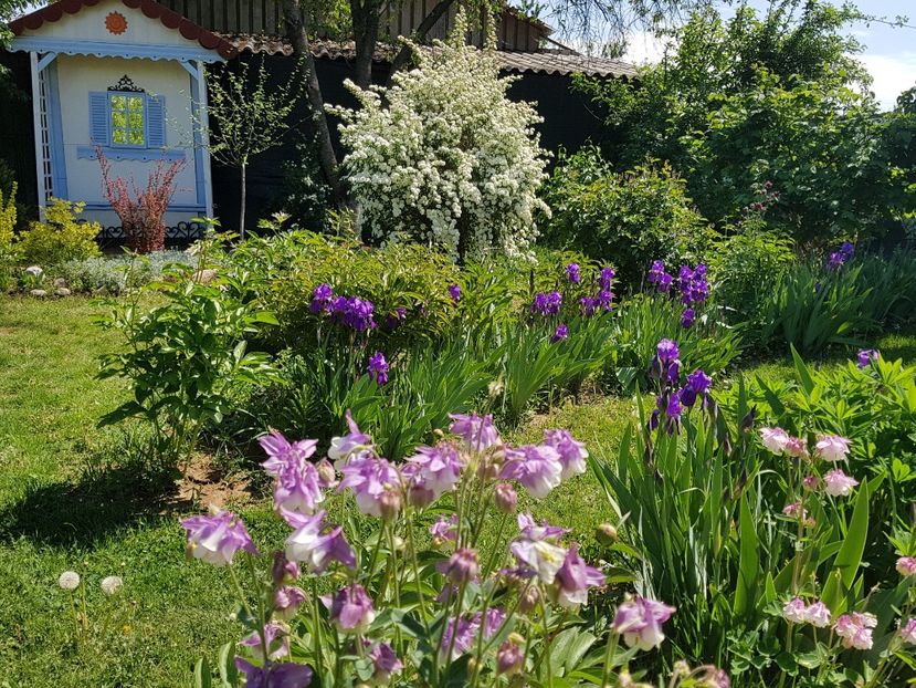  - 2020 Mart-Apr_Idilic garden