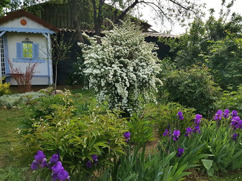  - 2020 Mart-Apr_Idilic garden