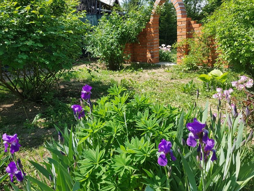  - 2020 Mart-Apr_Idilic garden