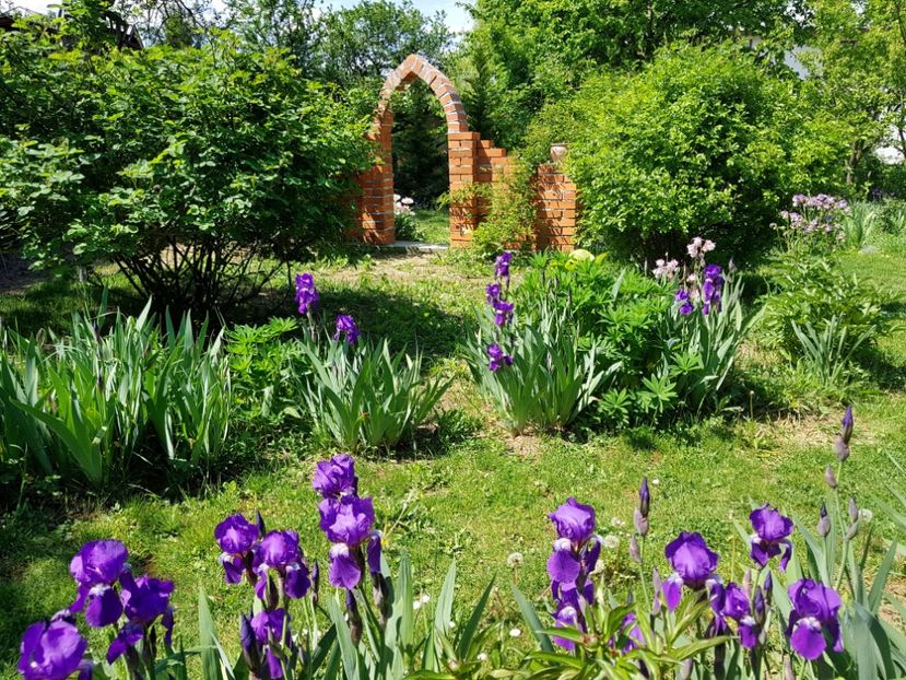  - 2020 Mart-Apr_Idilic garden