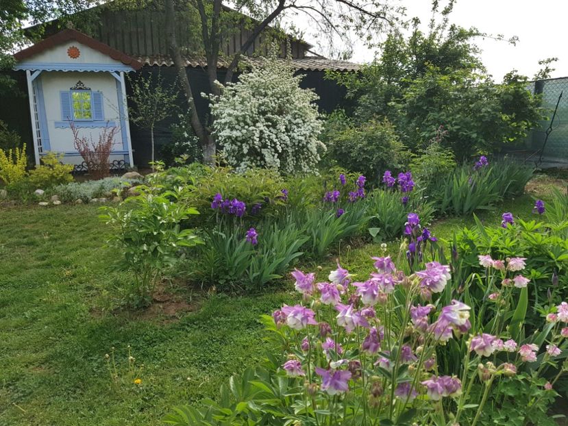  - 2020 Mart-Apr_Idilic garden