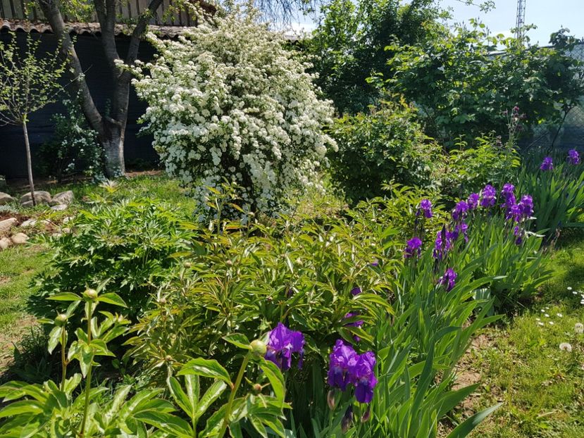  - 2020 Mart-Apr_Idilic garden