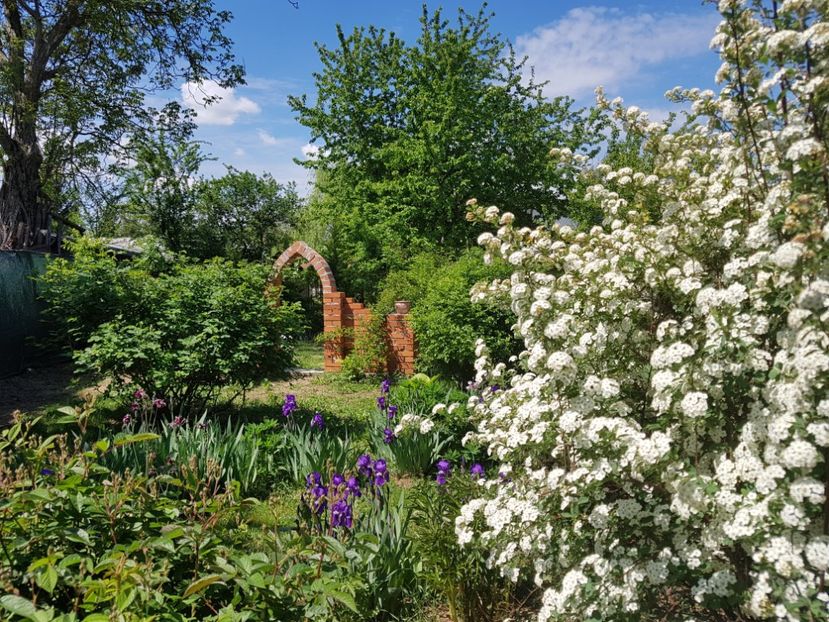  - 2020 Mart-Apr_Idilic garden