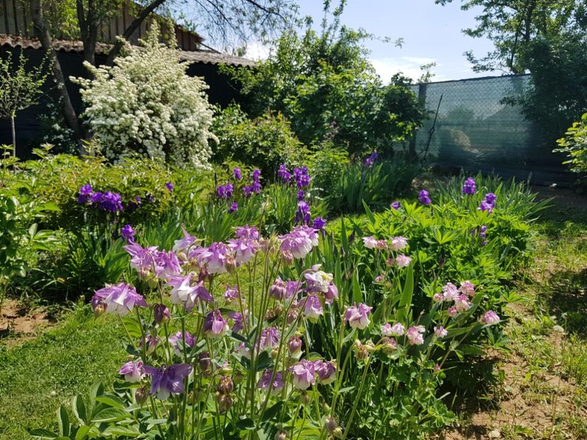  - 2020 Mart-Apr_Idilic garden