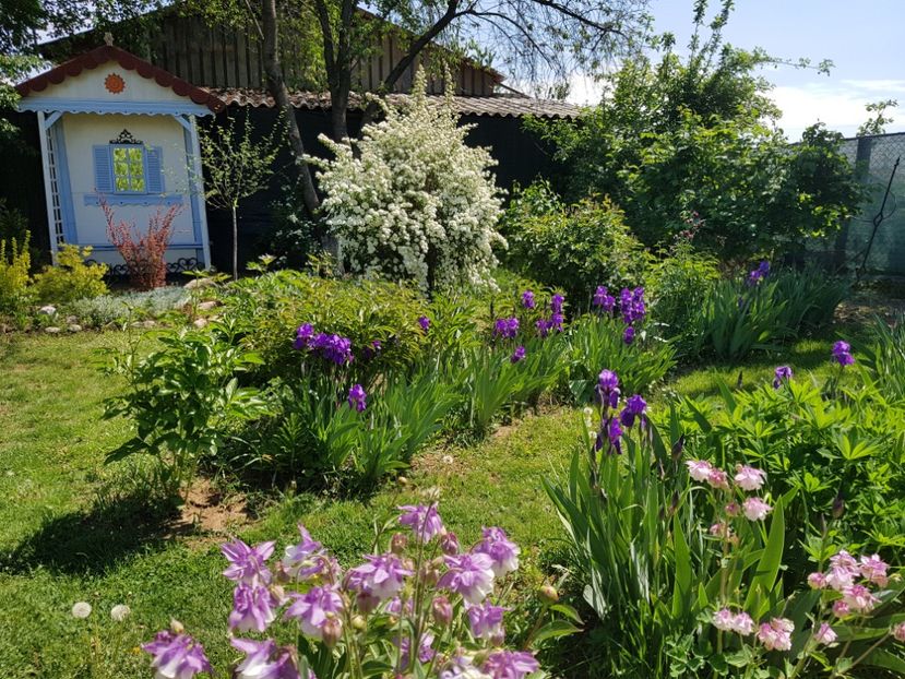  - 2020 Mart-Apr_Idilic garden