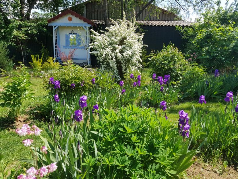  - 2020 Mart-Apr_Idilic garden