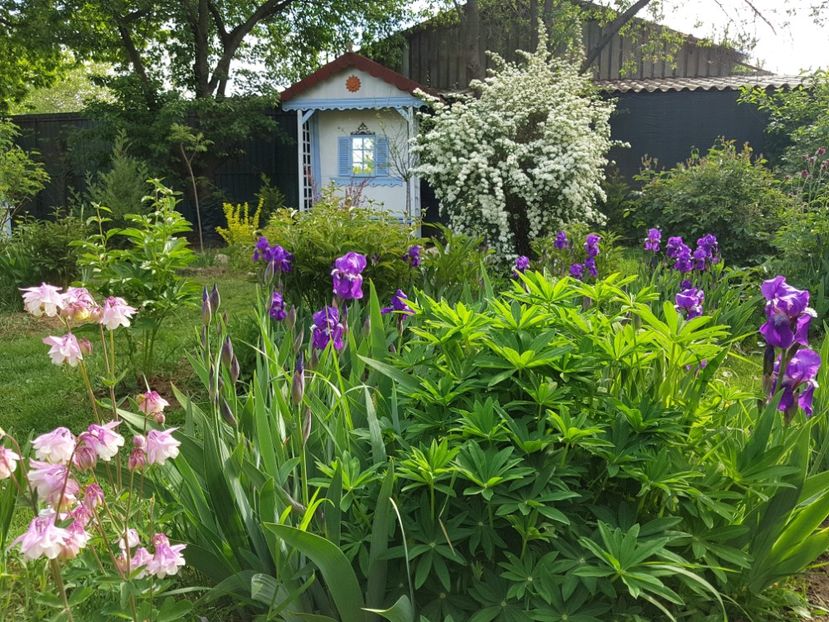  - 2020 Mart-Apr_Idilic garden