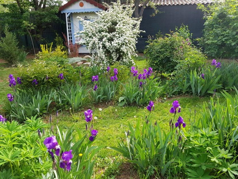  - 2020 Mart-Apr_Idilic garden