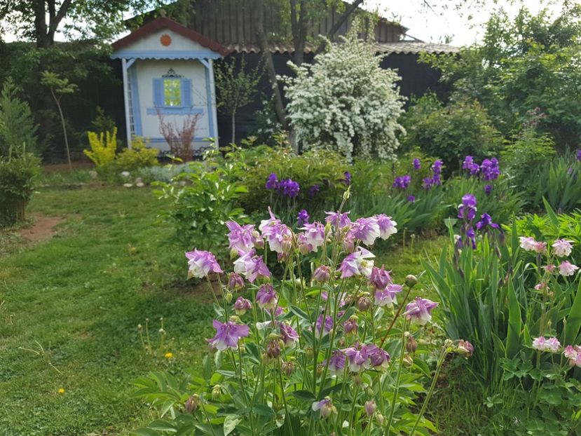  - 2020 Mart-Apr_Idilic garden