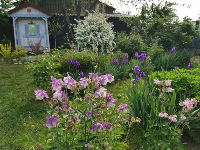  - 2020 Mart-Apr_Idilic garden