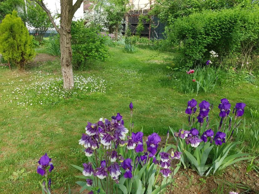  - 2020 Mart-Apr_Idilic garden