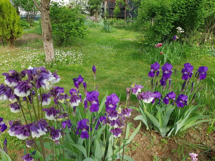  - 2020 Mart-Apr_Idilic garden