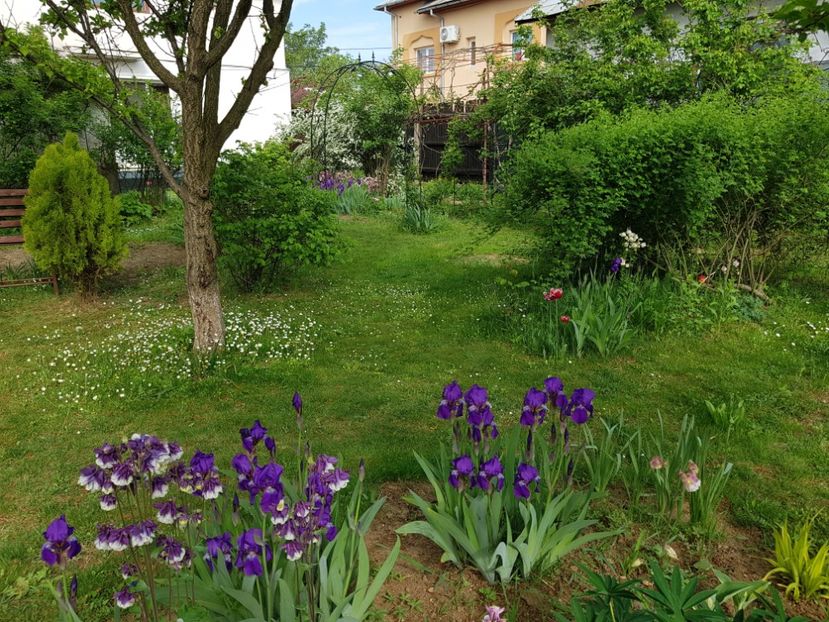  - 2020 Mart-Apr_Idilic garden