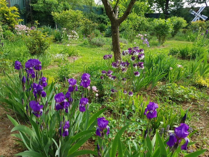  - 2020 Mart-Apr_Idilic garden