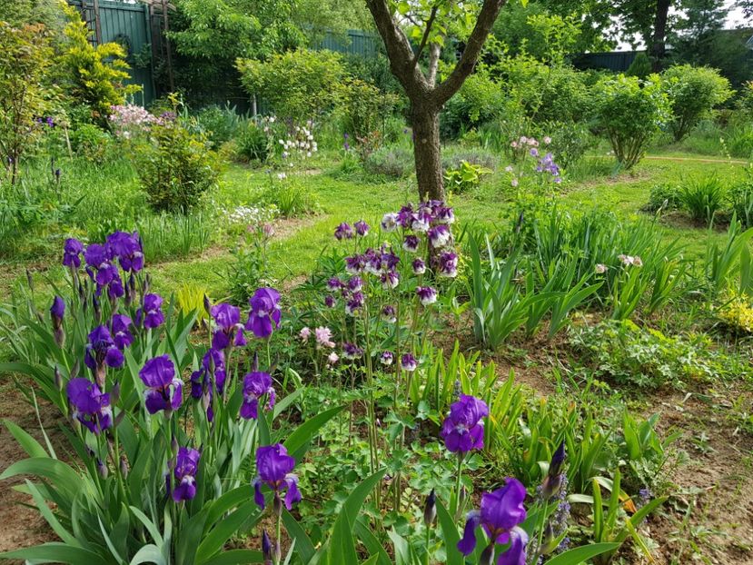  - 2020 Mart-Apr_Idilic garden