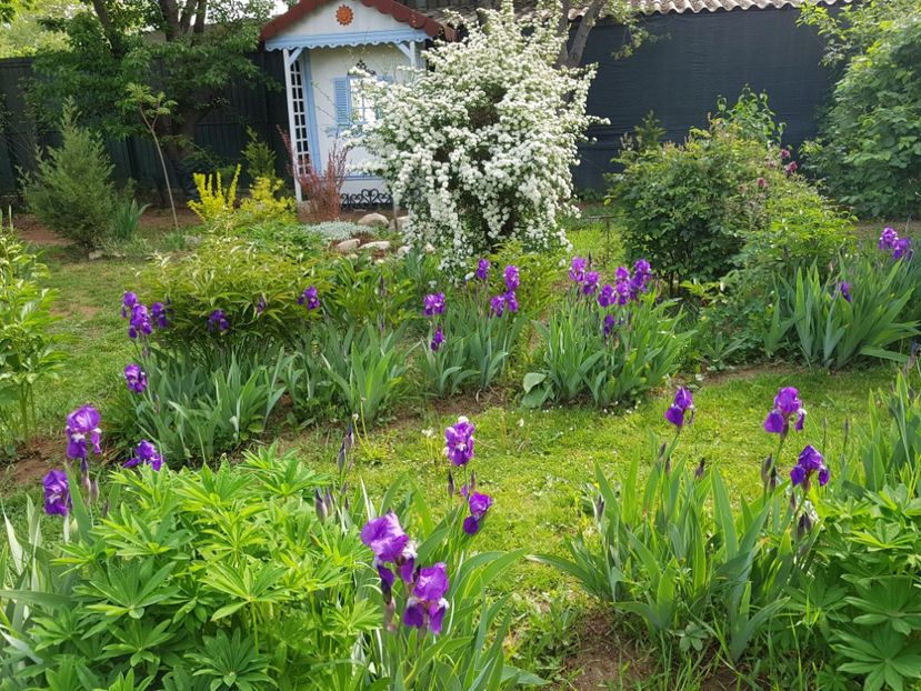  - 2020 Mart-Apr_Idilic garden