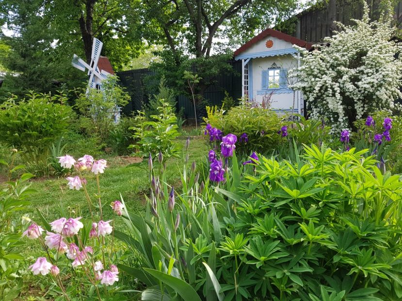  - 2020 Mart-Apr_Idilic garden