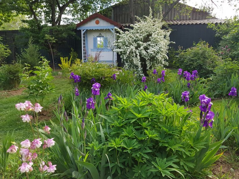  - 2020 Mart-Apr_Idilic garden