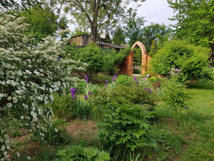  - 2020 Mart-Apr_Idilic garden