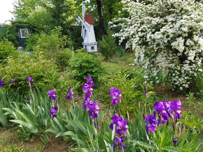  - 2020 Mart-Apr_Idilic garden