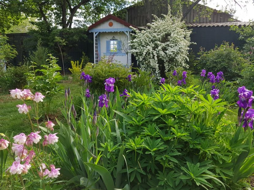  - 2020 Mart-Apr_Idilic garden