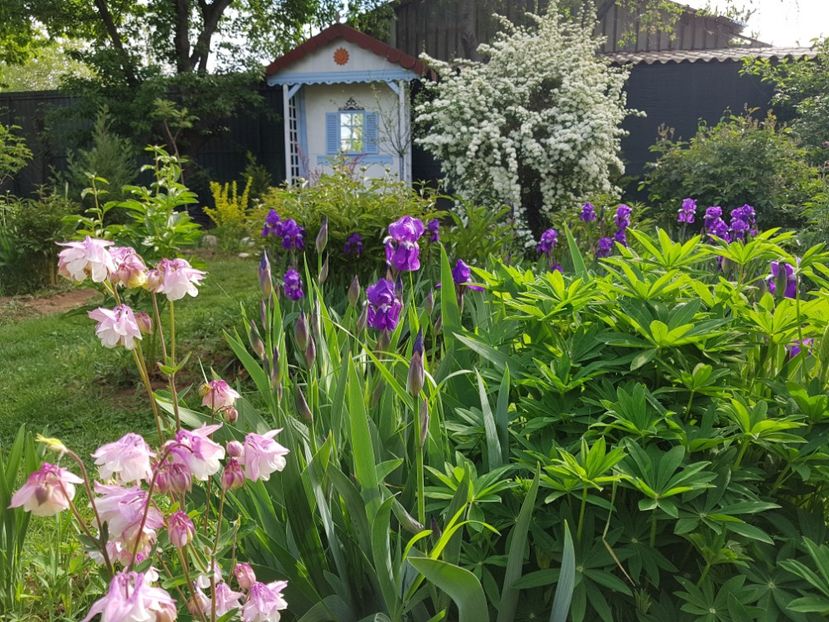  - 2020 Mart-Apr_Idilic garden