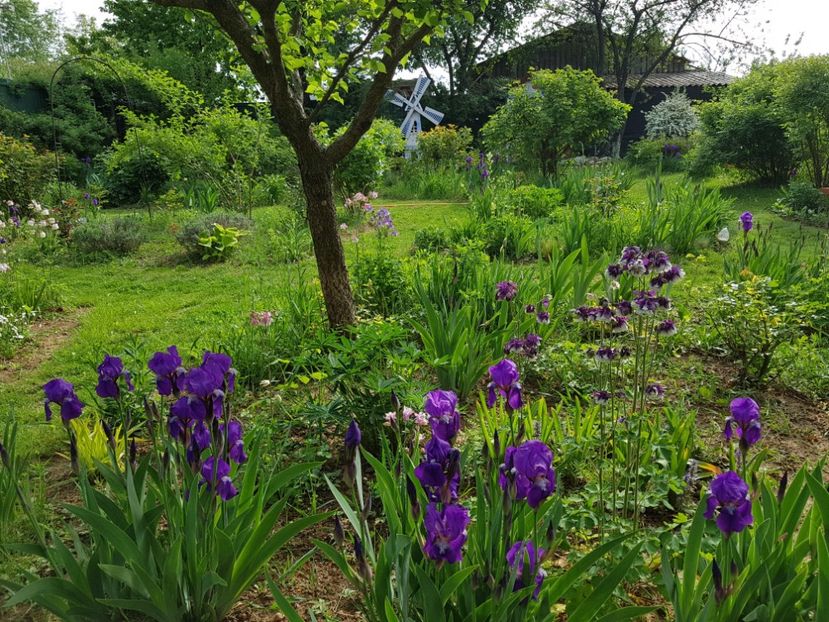  - 2020 Mart-Apr_Idilic garden